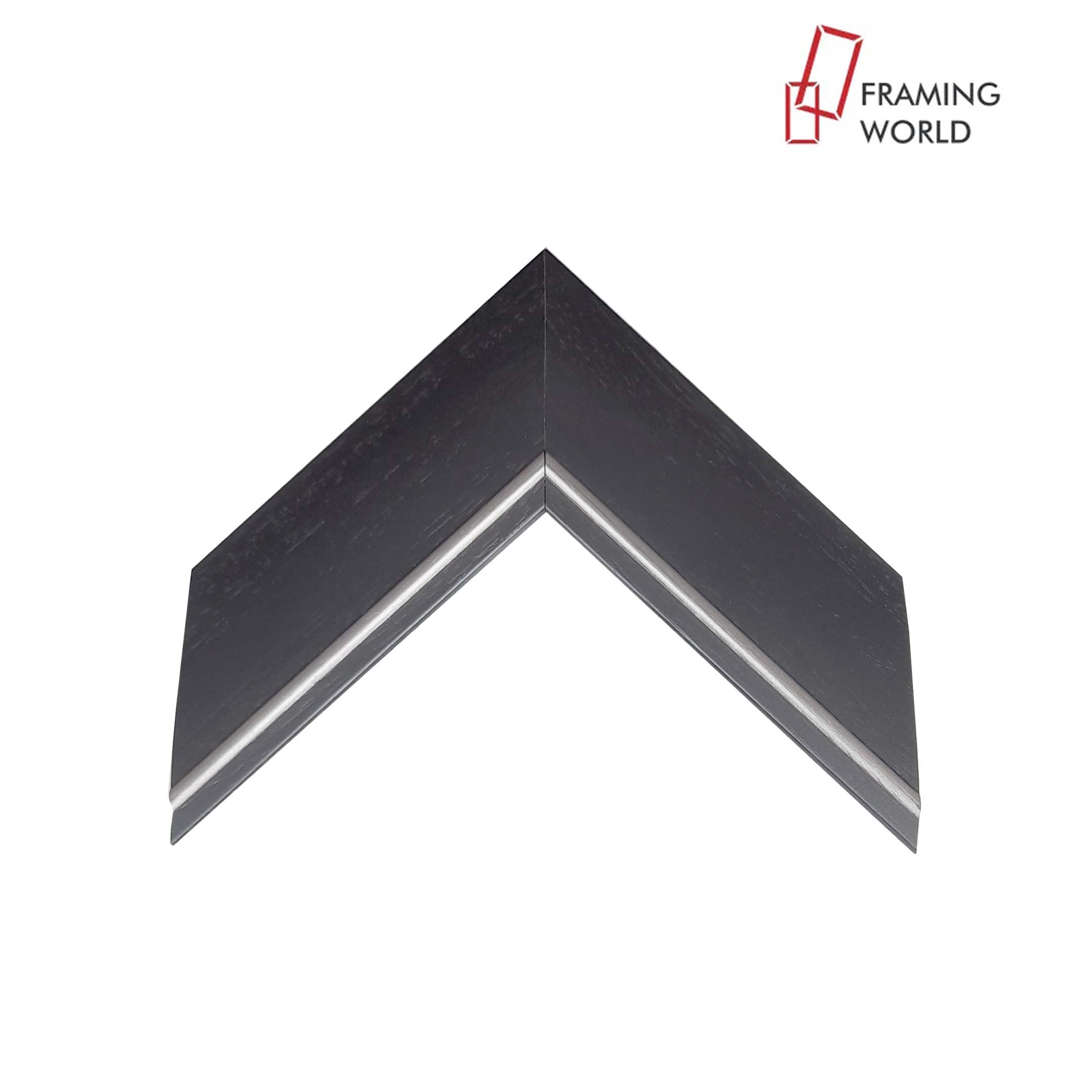 301 Molding Product